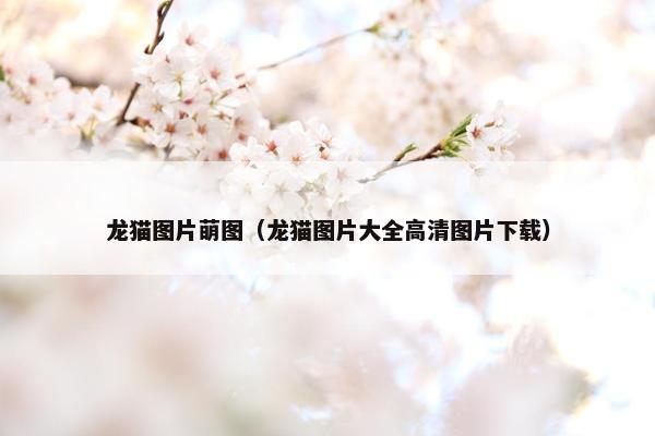 龙猫图片萌图（龙猫图片大全高清图片下载）