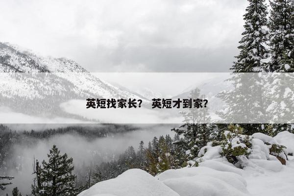 英短找家长？ 英短才到家？