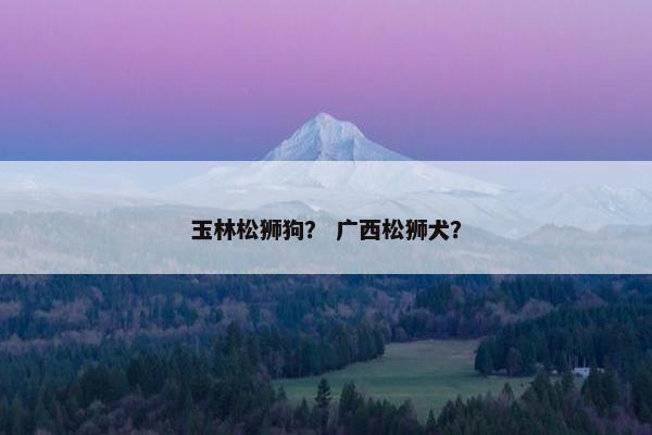 玉林松狮狗？ 广西松狮犬？