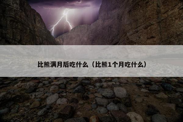 比熊满月后吃什么（比熊1个月吃什么）