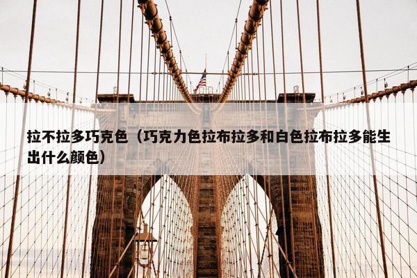 拉不拉多巧克色（巧克力色拉布拉多和白色拉布拉多能生出什么颜色）