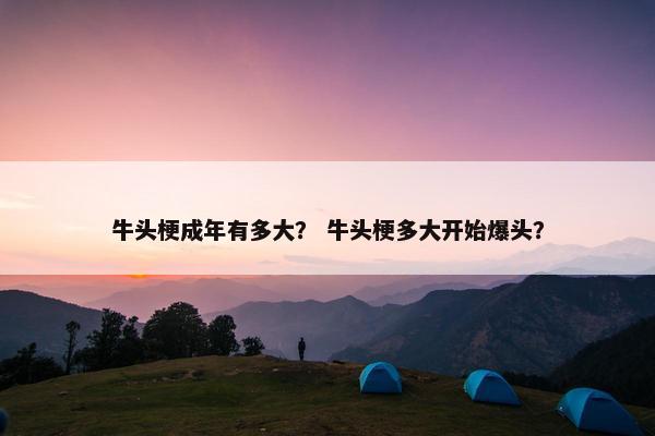 牛头梗成年有多大？ 牛头梗多大开始爆头？