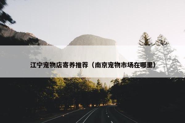 江宁宠物店寄养推荐（南京宠物市场在哪里）