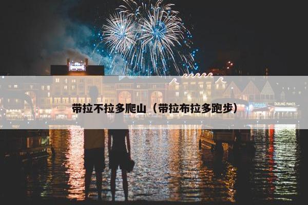 带拉不拉多爬山（带拉布拉多跑步）
