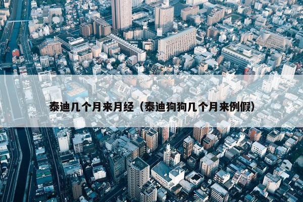 泰迪几个月来月经（泰迪狗狗几个月来例假）