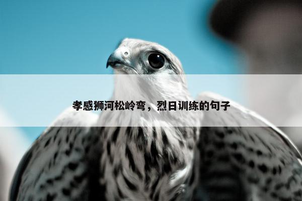 孝感狮河松岭弯，烈日训练的句子