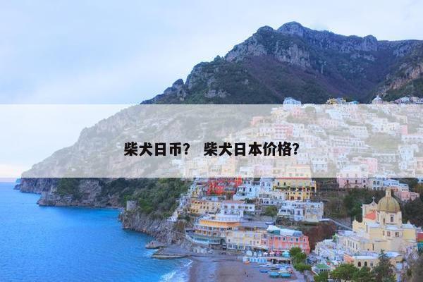 柴犬日币？ 柴犬日本价格？