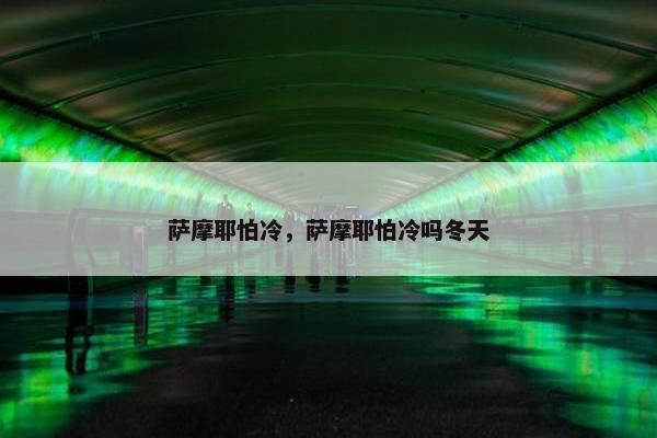萨摩耶怕冷，萨摩耶怕冷吗冬天