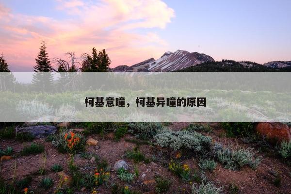 柯基意瞳，柯基异瞳的原因