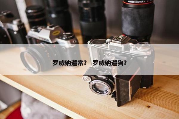罗威纳遛常？ 罗威纳遛狗？