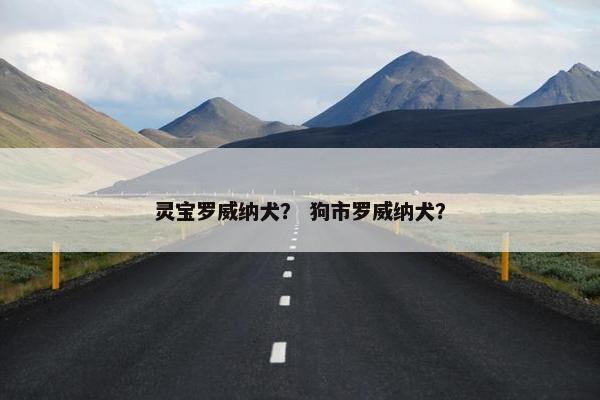 灵宝罗威纳犬？ 狗市罗威纳犬？