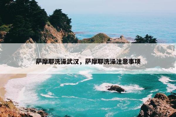 萨摩耶洗澡武汉，萨摩耶洗澡注意事项