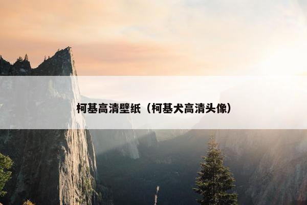 柯基高清壁纸（柯基犬高清头像）