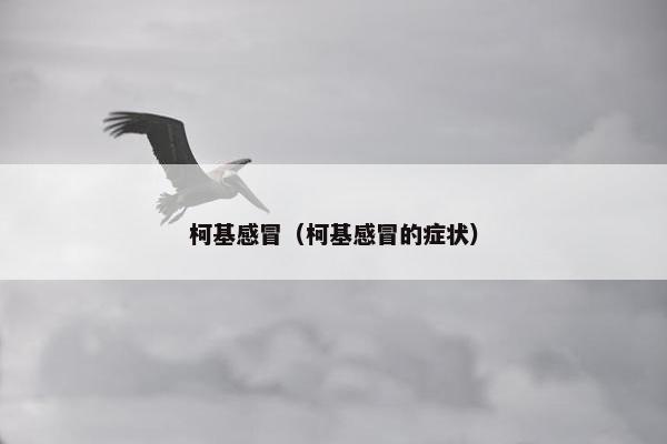 柯基感冒（柯基感冒的症状）