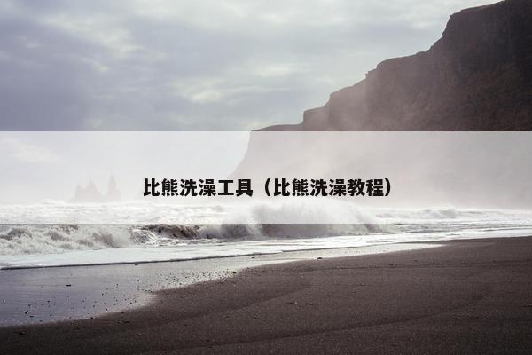 比熊洗澡工具（比熊洗澡教程）