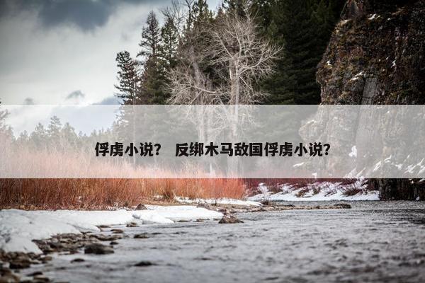 俘虏小说？ 反绑木马敌国俘虏小说？