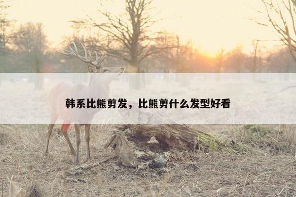 韩系比熊剪发，比熊剪什么发型好看