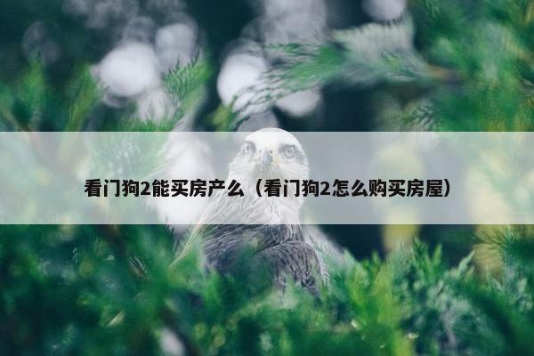 看门狗2能买房产么（看门狗2怎么购买房屋）