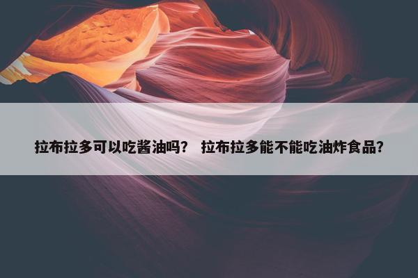 拉布拉多可以吃酱油吗？ 拉布拉多能不能吃油炸食品？