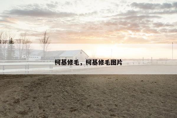 柯基修毛，柯基修毛图片