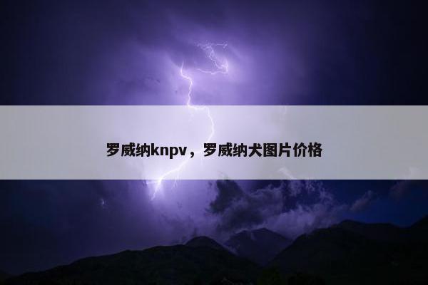 罗威纳knpv，罗威纳犬图片价格