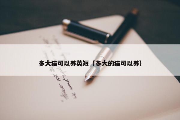 多大猫可以养英短（多大的猫可以养）