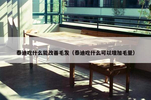 泰迪吃什么能改善毛发（泰迪吃什么可以增加毛量）