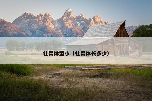 杜高体型小（杜高体长多少）