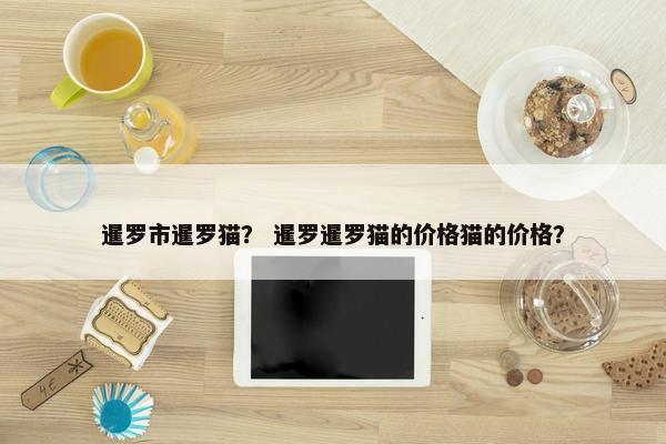 暹罗市暹罗猫？ 暹罗暹罗猫的价格猫的价格？