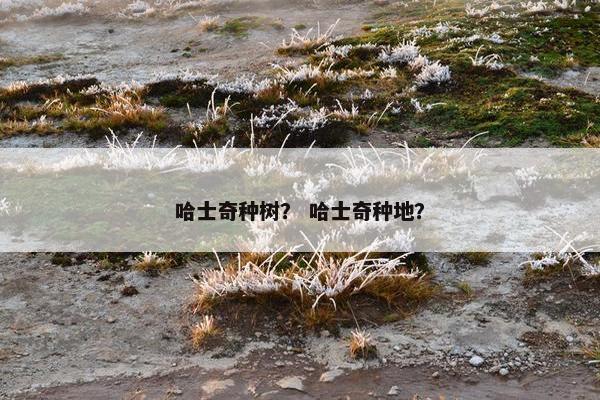 哈士奇种树？ 哈士奇种地？
