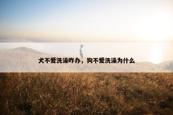 犬不爱洗澡咋办，狗不爱洗澡为什么