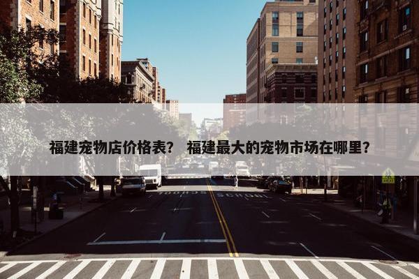 福建宠物店价格表？ 福建最大的宠物市场在哪里？
