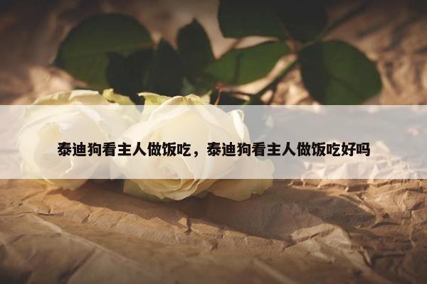 泰迪狗看主人做饭吃，泰迪狗看主人做饭吃好吗