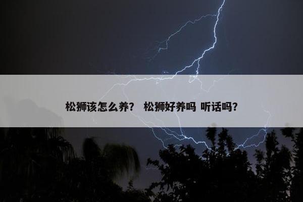 松狮该怎么养？ 松狮好养吗 听话吗？