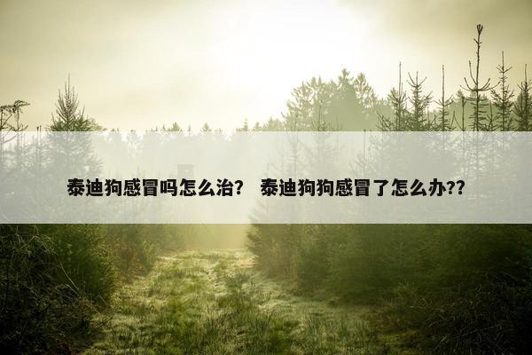 泰迪狗感冒吗怎么治？ 泰迪狗狗感冒了怎么办?？