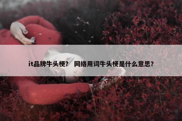 it品牌牛头梗？ 网络用词牛头梗是什么意思？