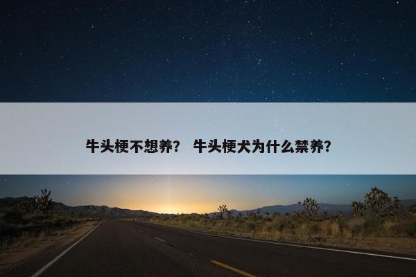 牛头梗不想养？ 牛头梗犬为什么禁养？