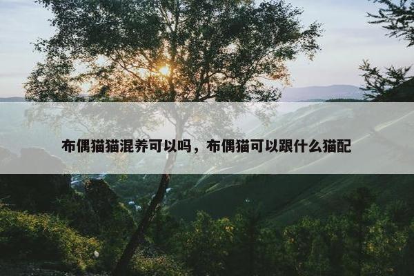 布偶猫猫混养可以吗，布偶猫可以跟什么猫配