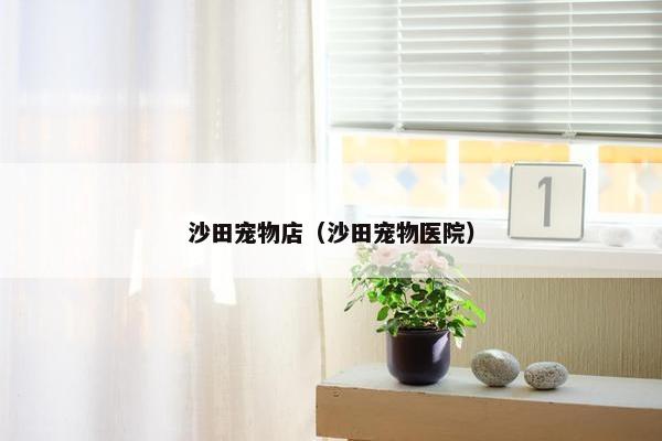 沙田宠物店（沙田宠物医院）