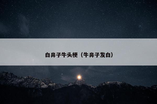 白鼻子牛头梗（牛鼻子发白）