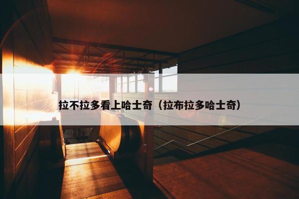 拉不拉多看上哈士奇（拉布拉多哈士奇）