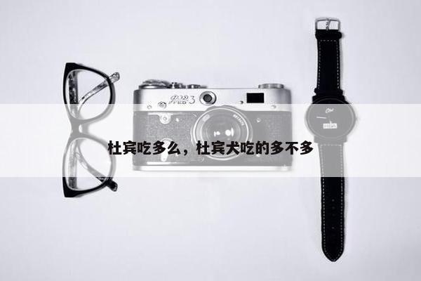 杜宾吃多么，杜宾犬吃的多不多