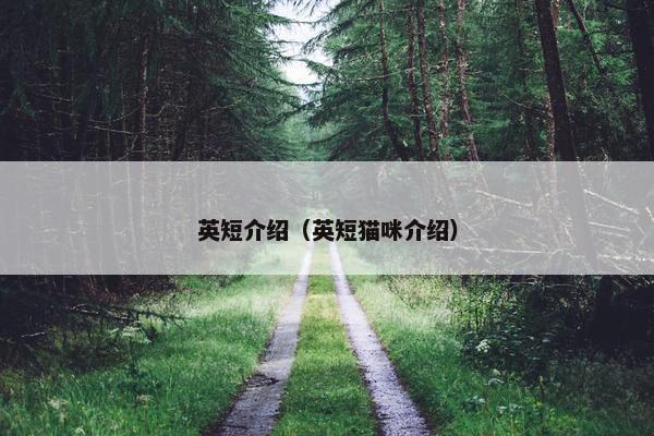 英短介绍（英短猫咪介绍）