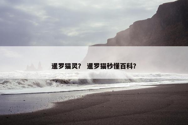 暹罗猫灵？ 暹罗猫秒懂百科？