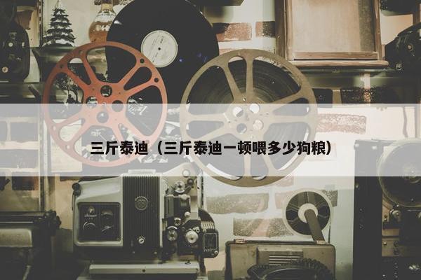 三斤泰迪（三斤泰迪一顿喂多少狗粮）
