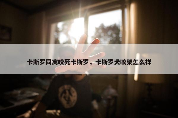 卡斯罗同窝咬死卡斯罗，卡斯罗犬咬架怎么样