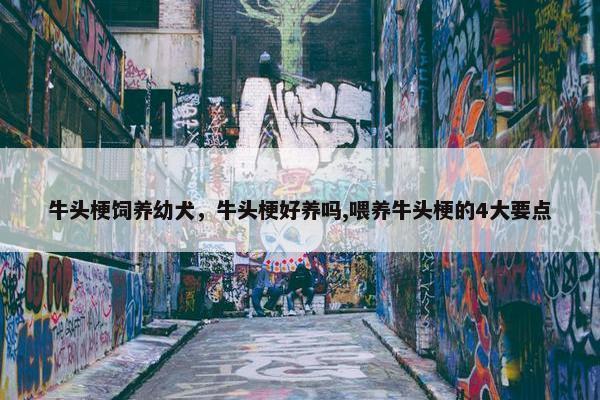 牛头梗饲养幼犬，牛头梗好养吗,喂养牛头梗的4大要点