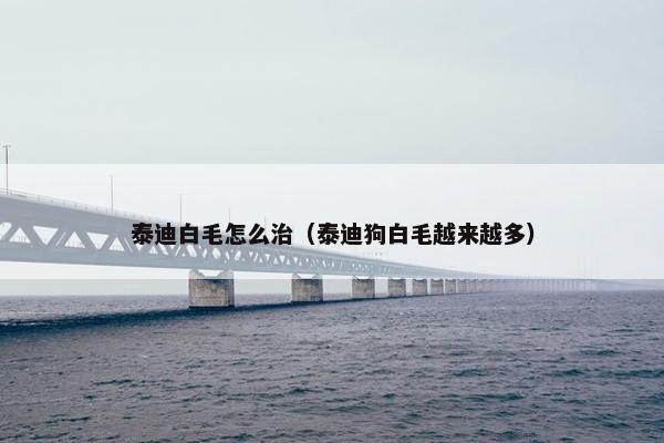 泰迪白毛怎么治（泰迪狗白毛越来越多）