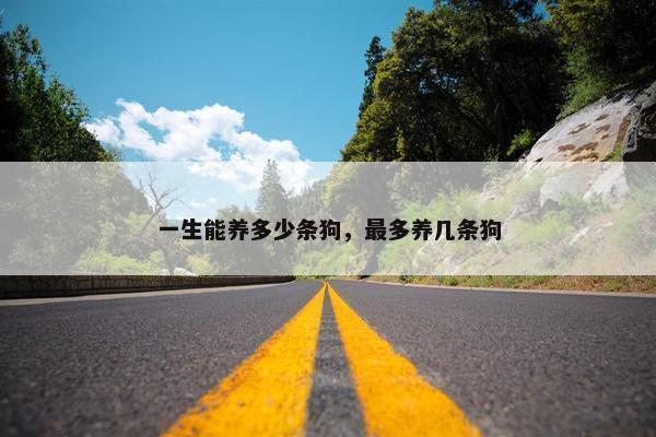 一生能养多少条狗，最多养几条狗