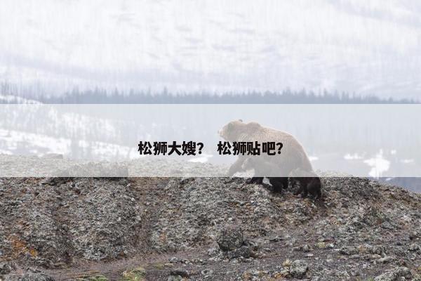 松狮大嫂？ 松狮贴吧？